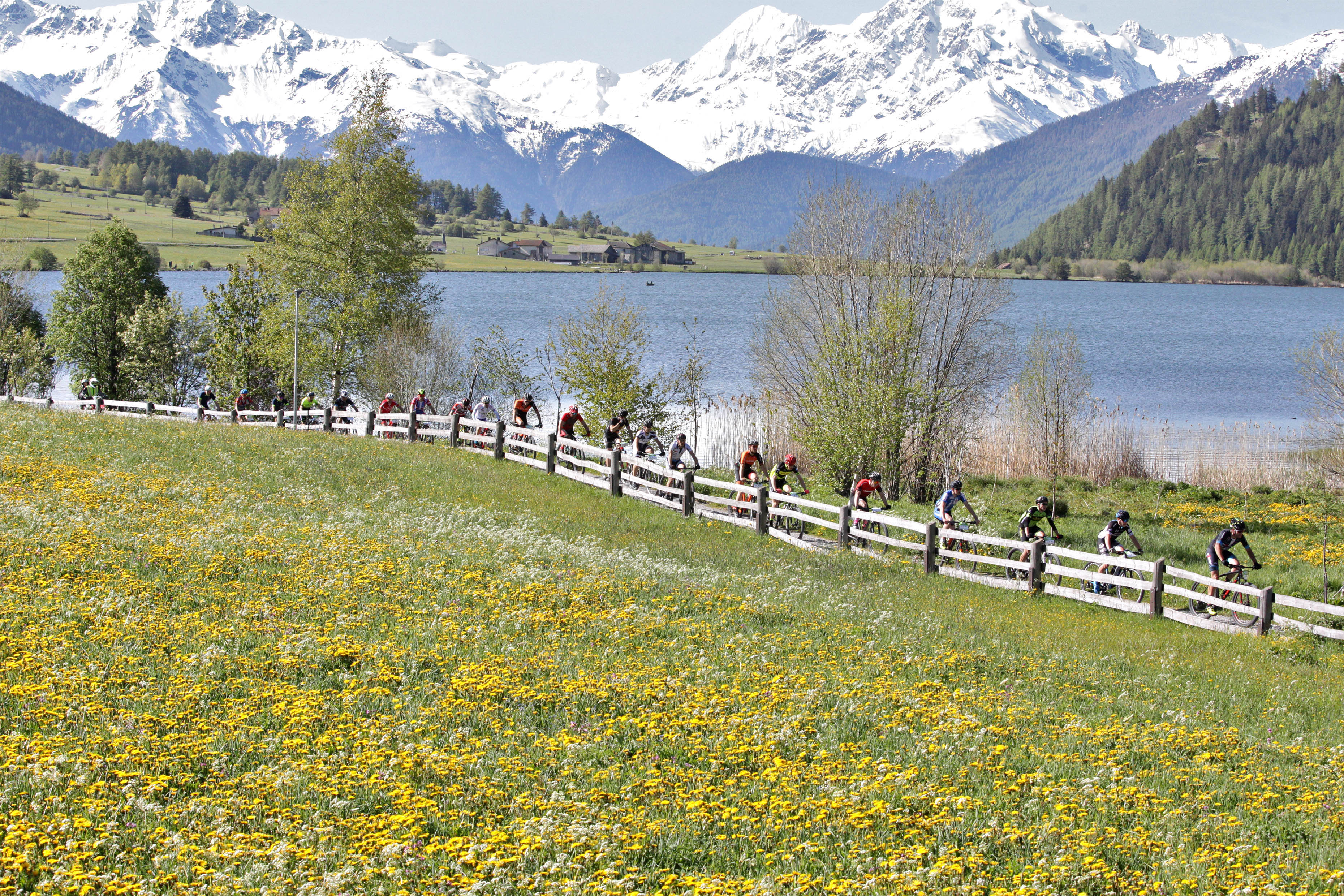 Occhio al 4, c'è la Ortler Bike Marathon. In Val Venosta ce n'è per tutti i gusti