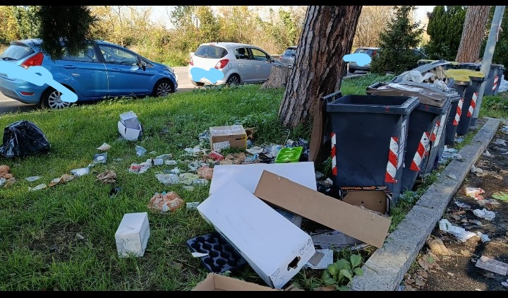 Cimitero Flaminio ci risiamo! Cumuli di rifiuti a terra segnalati dall'Italia dei Diritti De Pierro
