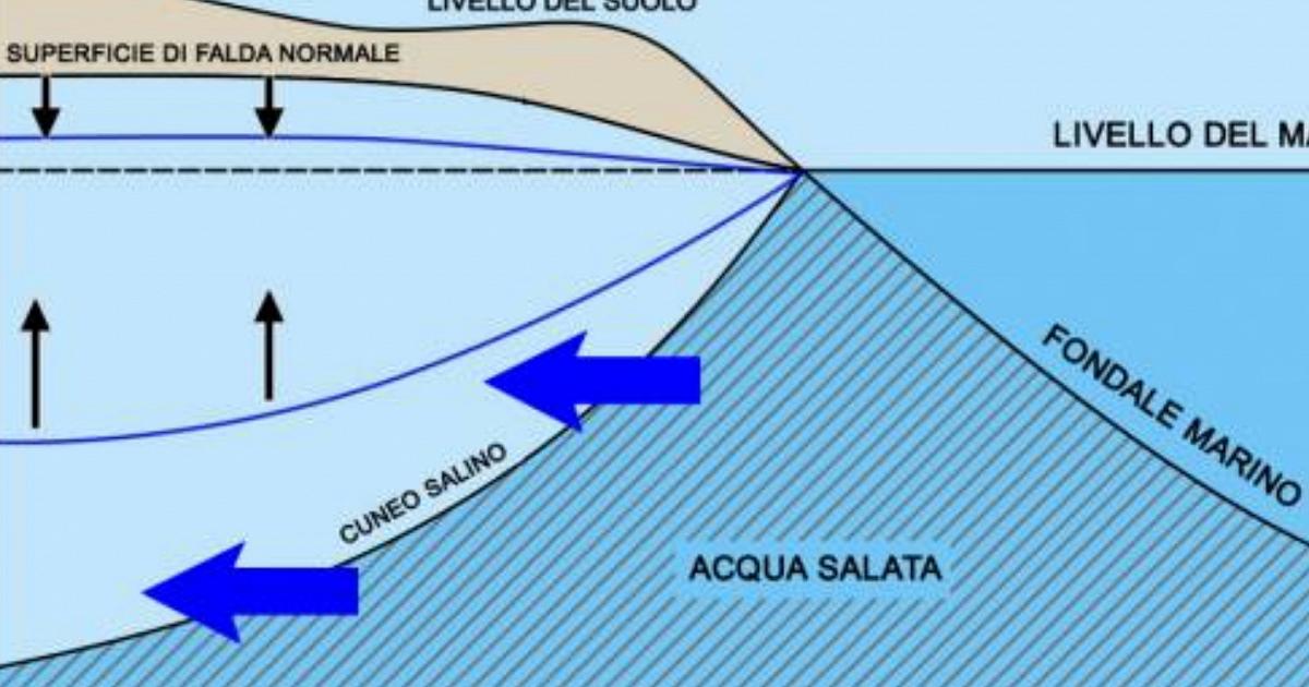 Che cos'è il cuneo salino e perché è una grande minaccia per le coltivazioni e per le città