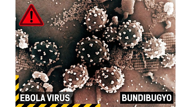La Peggiore Epidemia di Ebola Bundibugyo: Analisi e Rischi - Microbiologia Italia