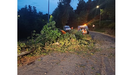 Maltempo a Pesaro e Fano, vento e fulmini causano blackout e danni