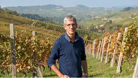 Il vino piemontese tra luci e ombre: export in crescita ma la crisi delle giacenze accende il dibattito in Regione