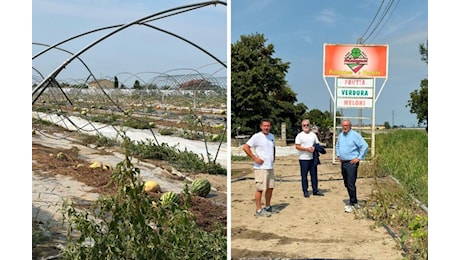 Maltempo Emilia-Romagna, azienda agricola devastata nel Bolognese: danni per oltre 300mila euro e produzione azzerata
