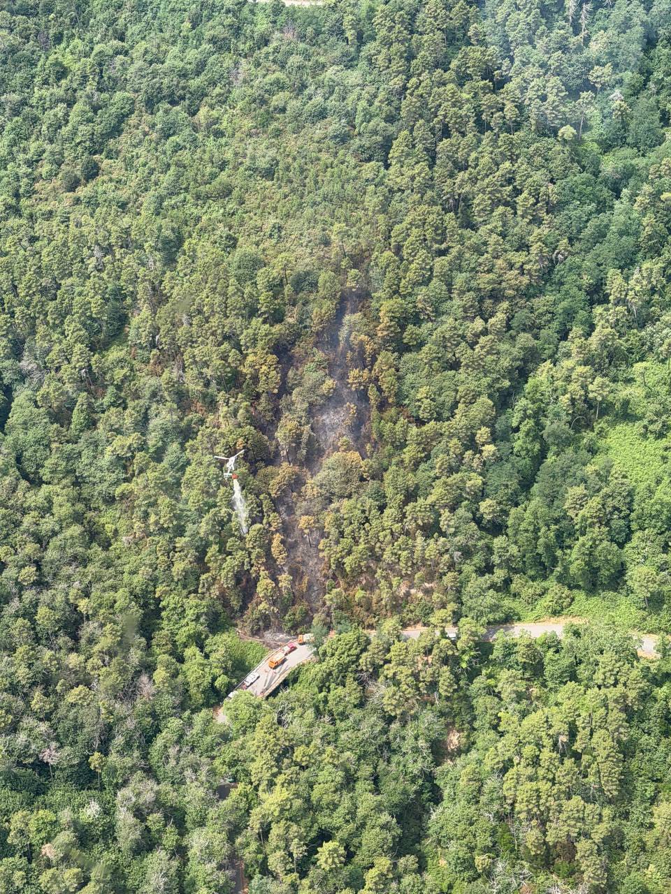 Spento l’incendio di Buti (Pi), operazioni di bonifica in fase avanzata - Toscana Notizie