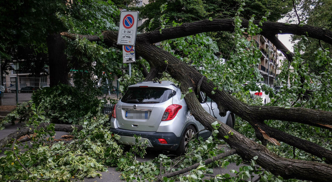 Maltempo, grandine e temporali nel Nord Italia. Alberi caduti e allagamenti a Milano e Torino, voli sospesi all'aeroporto di Venezia