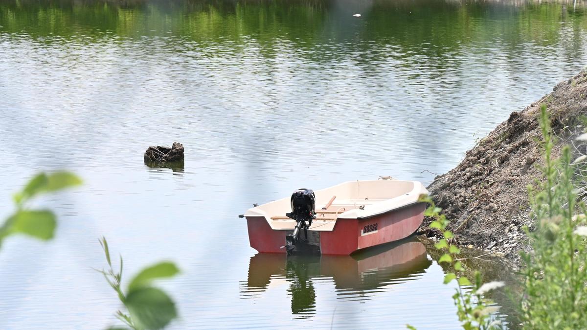Caccia al coccodrillo. Ecco il super esperto. Una gabbia speciale per catturare il rettile