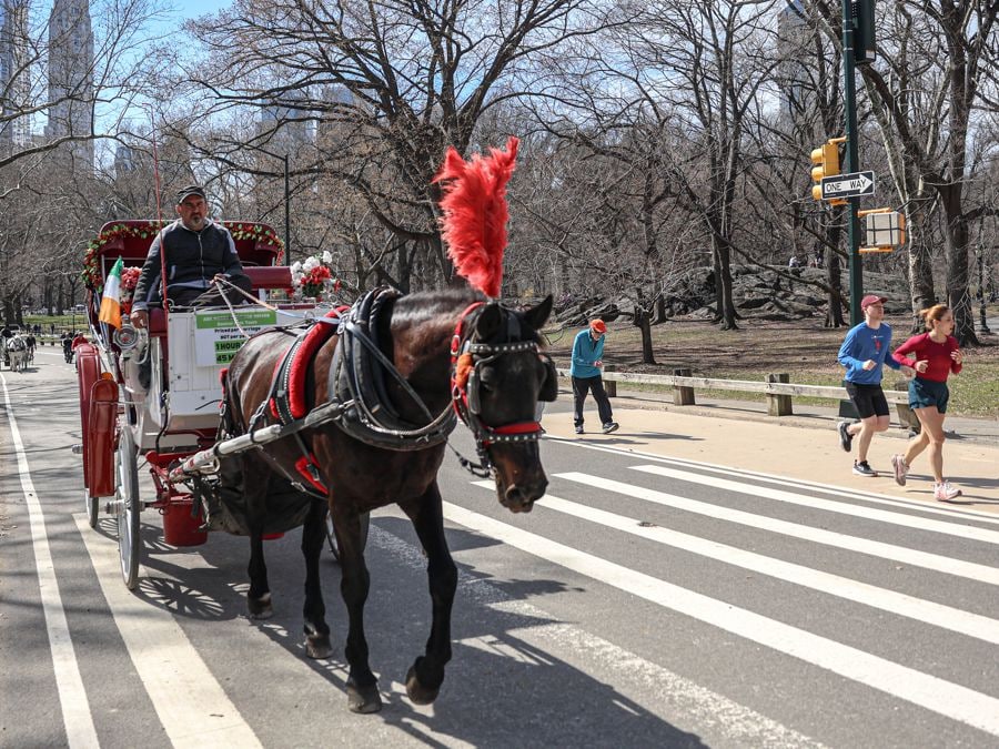 New York, verso l’addio alle romantiche carrozze trainate da cavalli