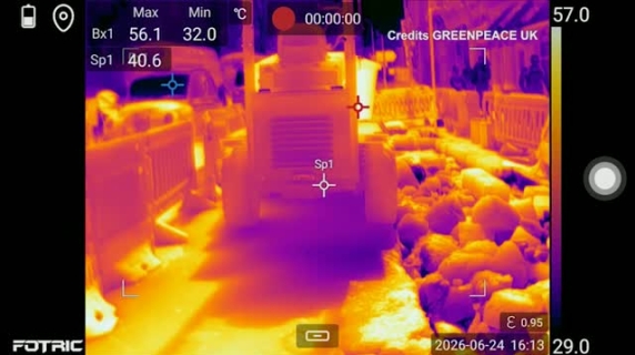 Caldo record a Londra: le immagini delle termocamere diffuse da Greenpeace Marciapiedi fino a 62°C nelle immagini termiche