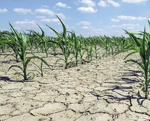 Siccità, Favero (Pd): in Veneto abbandonare logica dell’emergenza