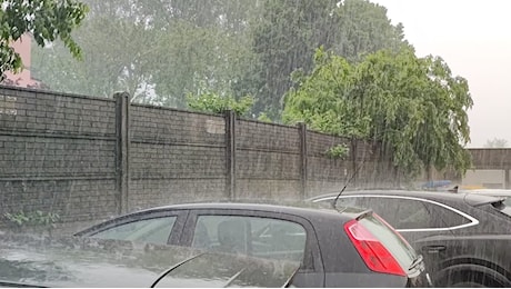 Maltempo a Ravenna, scatta l'ordinanza: parchi, pinete e cimiteri chiusi fino a domani mattina