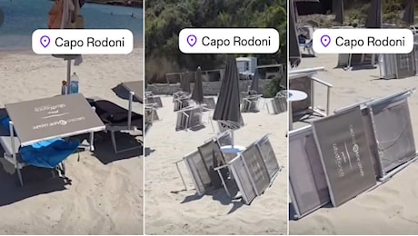 I lettini rubati a Reggio Emilia e riapparsi in Albania: «Sappiamo dove sono, ma è impossibile recuperarli»
