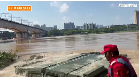 Alluvione in Cina, la fuga dei serpenti: cobra velenosi nei villaggi allagati
