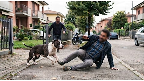 Cane del vicino corre verso di lui e lo fa cadere: risarcimento da 112mila euro