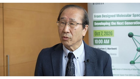 Kitagawa, le spugne molecolari del Nobel catturano la CO2