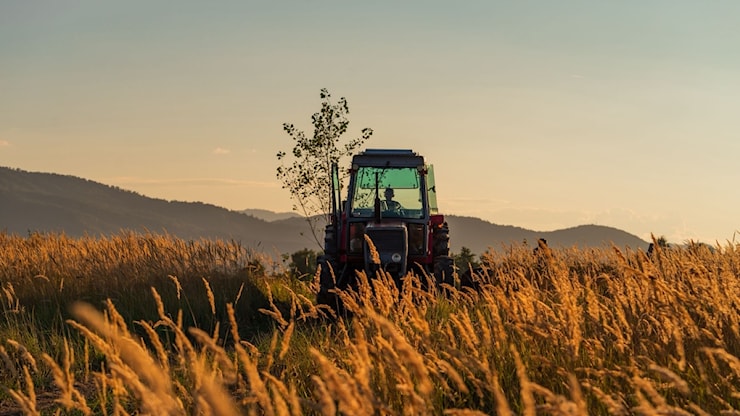 Agroalimentare, oltre il riconoscimento Unesco della cucina italiana: il futuro tra sostenibilità e le politiche Ue - Corriere della Sera