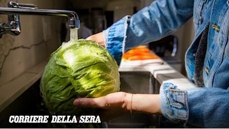 Cyclospora, epidemia negli Usa: oltre 5mila casi sospetti. Cosa è e perché frutta e insalate sono nel mirino