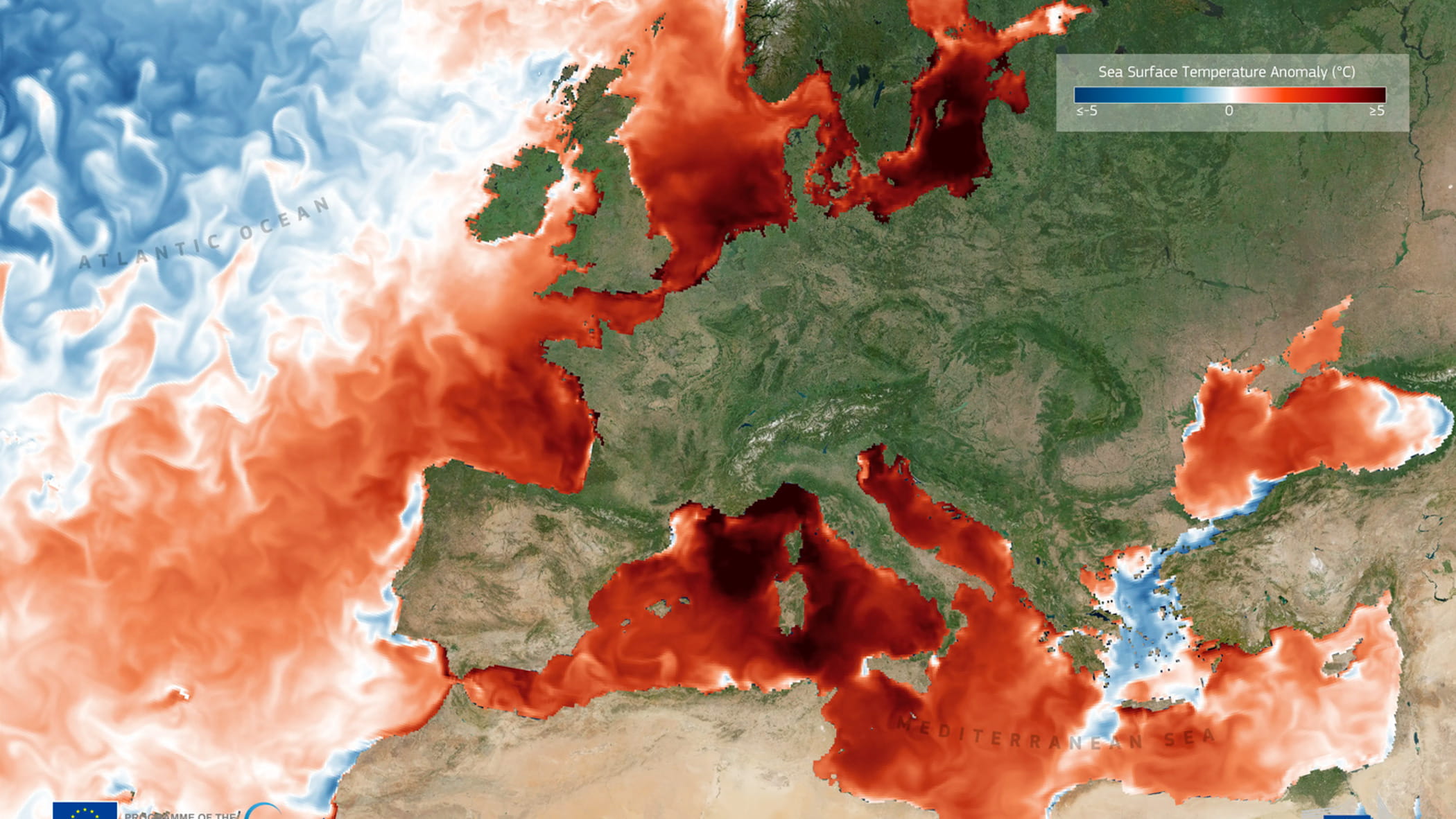 Allarme, ora il mare bolle. Sei gradi in più della media. “Gravi danni all’ecosistema”