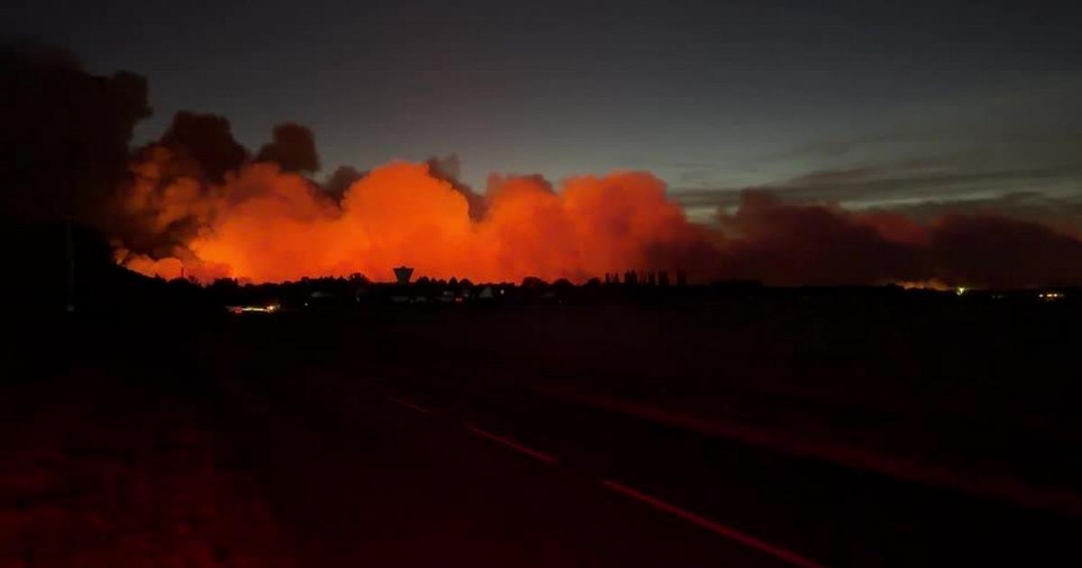 Francia, foresta di Fontainebleau in fiamme: incendio eccezionale, stop ai treni