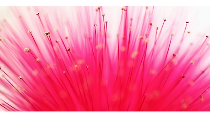 L'Oroscopo 2026 di Marie Claire - Marie Claire