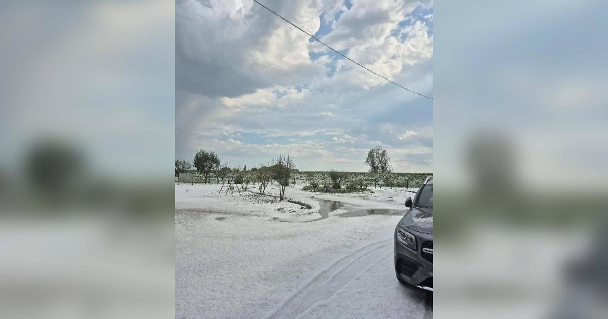 Forte grandinata domenica pomeriggio nel Trevigiano: danni ingenti a orti e vigneti