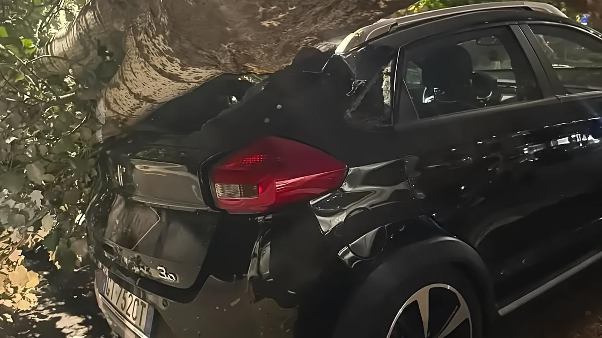 Il vento fortissimo fa cadere le piante. Auto distrutte