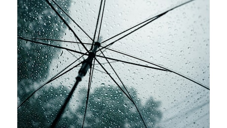Maltempo nel Pavese, un albero cade sull’A7: vento, grandine e incidenti