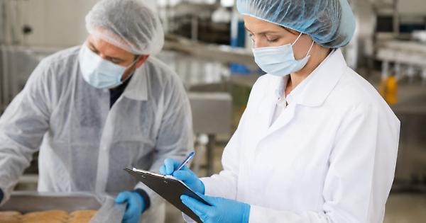 Allerta alimentare: uova Ovo Mio richiamate dal ministero per rischio Salmonella. Stop anche ad alcuni lotti di integratori non autorizzati