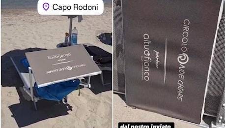 Lettini rubati a Reggio Emilia ricompaiono in uno stabilimento in Albania
