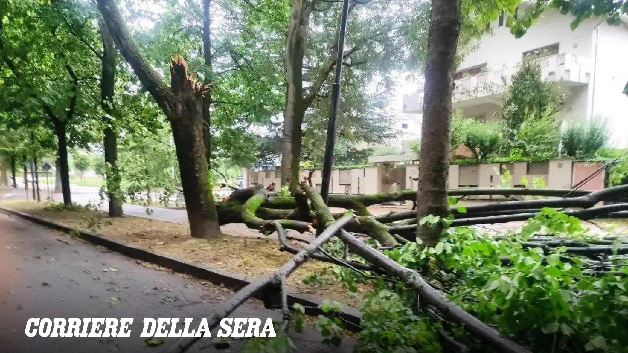 Torino, dopo il nubifragio è subito caldo. I danni nel weekend in Piemonte e le previsioni