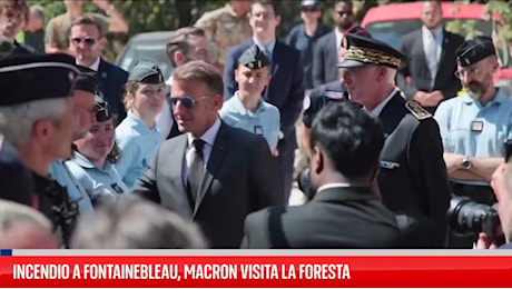 Incendio a Fontainebleau, Macron visita la foresta